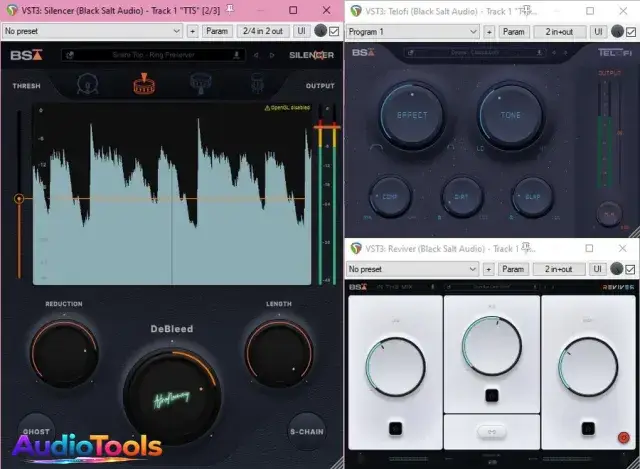 Black Salt Audio Bundle 2025-08 WiN Multilenguaje