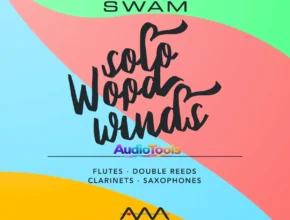 Modelado de audio SWAM Solo Woodwinds Windows Español Mega